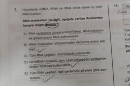 7. Hücrelerde mRNA, tRNA ve rRNA olmak üzere üç çeşit
RNA bulunur.
RNA molekülleri ile ilgili, aşağıda verilen ifadelerden
hangisi doğru değildir?
A) RNA sentezinde görevli enzim RNAaz, RNA hidrolizin-
de görevli enzim RNA polimerazdır.
B) tRNA molekülleri, sitoplazmadan ribozoma amino asit
taşır.
C) Tüm RNA çeşitleri, ribonukleotit polimeridir.
D) Bir mRNA molekülü, aynı çeşit polipeptidin sentezinde
birden fazla kez kullanılabilir.
E) Tüm RNA çeşitleri, ilgili genlerdeki şifrelere göre sen-
tezlenir.
11.
Am
GAA
Yuka
Y ve
kod
Bur
şif
A)
B
La
r