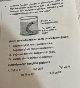 7.
İçerisinde Benedict çözeltisi ve protein bulunduran
bağırsak parçası, içerisinde su, sükroz ve sükrozu sindi-
ren enzim bulunan kaba konulmuştur. (Benedict çözelti-
si, glikozla etkileşince kırmızı renk oluşur.)
A) Yalnız II
Protein ve
benedict çözeltisi
Yeterli süre beklendikten sonra deney düzeneğinde;
1. bağırsak içinin kırmızıya boyanması,
II. bağırsak içinde fruktoza rastlanması,
III. bağırsak zarından kaba protein geçişi,
IV. kaptaki sükroz miktarının azalması
durumlarından hangileri gözlenir?
Su, sükroz ve
sükroz sindiren
enzim
D) III ve IV
B) I ve II
C) I ve IV
E) I, II ve IV