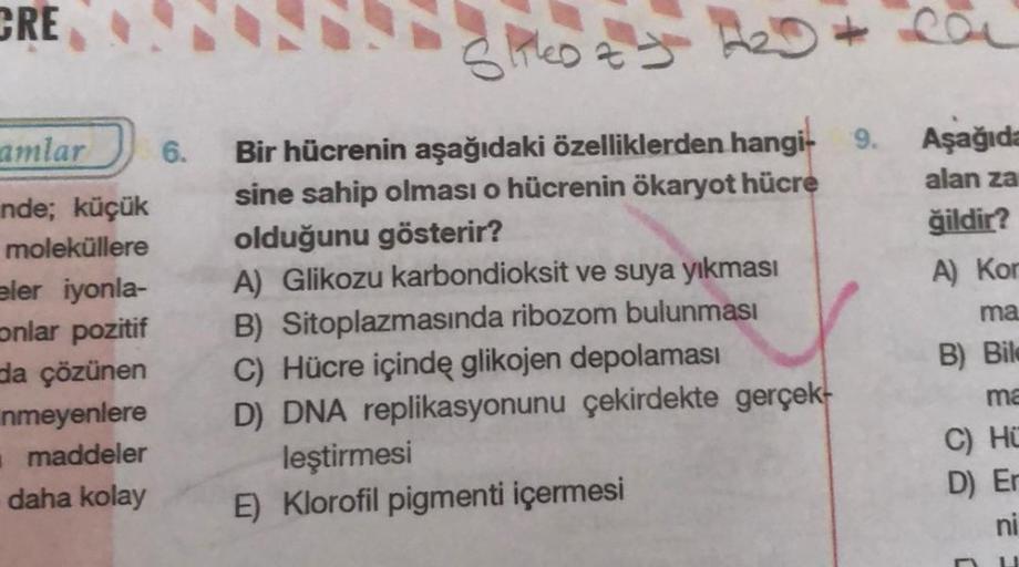 CRE
amlar
nde; küçük
moleküllere
eler iyonla-
onlar pozitif
da çözünen
nmeyenlere
maddeler
daha kolay
SlikeD & A₂D+
J
6. Bir hücrenin aşağıdaki özelliklerden hangi- 9.
sine sahip olması o hücrenin ökaryot hücre
olduğunu gösterir?
A) Glikozu karbondioksit v