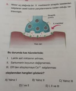 5.
Motor uç plağında bir X maddesinin sinaptik keselerden
salgılanan asetil kolinin parçalanmasına neden olduğu be-
lirlenmiştir.
Kas zari
D) I ve II
Sinaptik
yumru
X maddesi
Bu durumda kas hücrelerinde;
1. Laktik asit miktarının artması,
II. Sarkomerin boyunun değişmemesi,
III. ER'den sitoplazmaya Ca+2 salgılanması
olaylarından hangileri gözlenir?
A) Yalnız I
B) Yalnız II
C) Yalnız III
E) I, II ve III