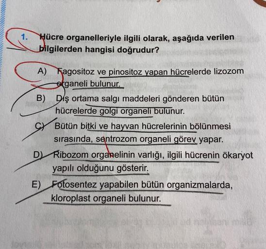 1. Hücre organelleriyle ilgili olarak, aşağıda veri… Biyoloji 1. Hücre organelleriyle ilgili olarak, aşağıda veri… Biyoloji