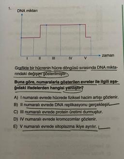 1.
DNA miktarı
|||
IV
V
zaman
Grafikte bir hücrenin hücre döngüsü sırasında DNA mikta-
rındaki değişim gösterilmiştir.
Buna göre, numaralarla gösterilen evreler ile ilgili aşa-
ğıdaki ifadelerden hangisi yanlıştır?
A) I numaralı evrede hücrede fiziksel hacim artışı gözlenir.
B) Il numaralı evrede DNA replikasyonu gerçekleşir
C) III numaralı evrede protein üretimi durmuştur.
D) IV numaralı evrede kromozomlar gözlenir.
E) V numaralı evrede sitoplazma ikiye ayrılır.