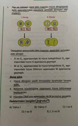 3.
-
Rao ve Johnson isimli bilim insanları hücre döngüsünün
farklı aşamalarındaki hücrelerle şekildeki deneyleri yap-
mışlardır.
-
I. Deney
M
S G₁
Deneylerin sonucunda bilim insanları aşağıdaki sonuçları
elde etmiştir.
S ve G₁ aşamasındaki iki hücre birleştirilince G, aşa-
masındaki hücre S aşamasına geçmiştir.
II. Deney
XXX
M G₁
M ve G₁ aşamasındaki iki hücre birleştirilince G, aşa-
masındaki hücre DNA'sını eşlemeden M aşamasına
geçmiştir.
ander
Buna göre,
A) Yalnız I
X 1
D
1. Hücre döngüsü çeşitli kimyasallar tarafından kontrol
edilir.
II. Bölünme büyüklüğüne ulaşmayan hücre bölünmeye
başlayamaz.
D) I ve III
III. Hücreler DNA'sını eşlemeden de Mevresine geçebilir.
ifadelerinden hangileri doğrudur?
B) Yalnız II
E) I, II ve III
C) I ve II