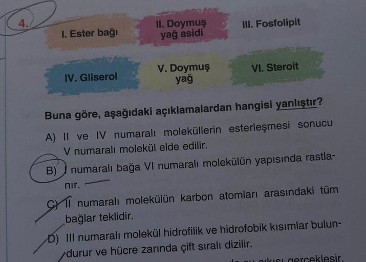 4.
1. Ester bağı
IV. Gliserol
II. Doymuş
yağ asidi
nır.
V. Doymuş
yağ
III. Fosfolipit
VI. Steroit
Buna göre, aşağıdaki açıklamalardan hangisi yanlıştır?
A) II ve IV numaralı moleküllerin esterleşmesi sonucu
V numaralı molekül elde edilir.
B) numaralı bağa
