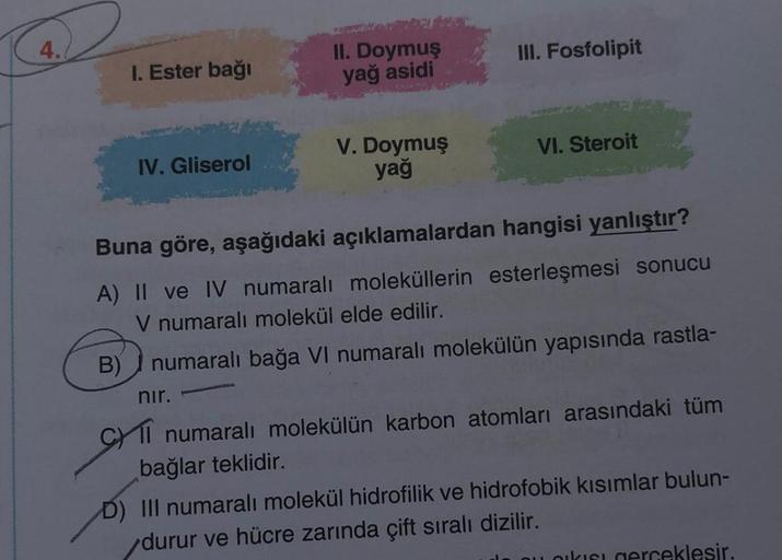 4.
1. Ester bağı
IV. Gliserol
II. Doymuş
yağ asidi
nır.
V. Doymuş
yağ
III. Fosfolipit
VI. Steroit
Buna göre, aşağıdaki açıklamalardan hangisi yanlıştır?
A) II ve IV numaralı moleküllerin esterleşmesi sonucu
V numaralı molekül elde edilir.
B) numaralı bağa 