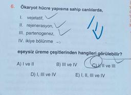 6. Ökaryot hücre yapısına sahip canlılarda,
W
I. vejetatif,
II. rejenerasyon,
III. partenogenez,
IV. ikiye bölünme ->
eşeysiz üreme çeşitlerinden hangileri görülebilir?
A) I ve II
D) I, III ve IV
B) III ve IV
CII ve III
E) I, II, III ve IV