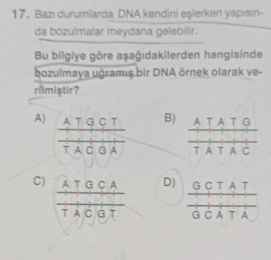 17. Bazı
durumlarda DNA kendini eşlerken yapısın-
da bozulmalar meydana gelebilir.
Bu bilgiye göre aşağıdakilerden hangisinde
bozulmaya uğramış bir DNA örnek olarak ve-
rilmiştir?
A)
ATGCT
TACGA
C) ATGCA
TACGT
B)
D)
ATATG
++
TATAC
GCTAT
GCATA