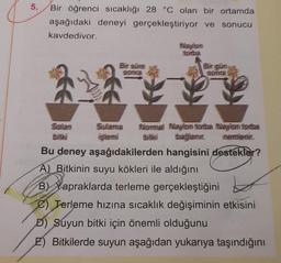 5.
Bir öğrenci sıcaklığı 28 °C olan bir ortamda
aşağıdaki deneyi gerçekleştiriyor ve
kavdedivor.
Bir sine
somma
Salan
bitki
Nay/hom
fotba
Sulama
işlemi
Normal Naylon totha Naylon tortba
memlenir.
tatti
thaglanir.
Bu deney aşağıdakilerden hangisini destekler?
A) Bitkinin suyu kökleri ile aldığını
B) Yapraklarda terleme gerçekleştiğini
e) Terleme hızına sıcaklık değişiminin etkisini
Birgim
SOMER
D) Suyun bitki için önemli olduğunu
E) Bitkilerde suyun aşağıdan yukarıya taşındığını