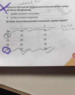 diploid 2n
Yumurta hücresinde 10 kromozom bulunduran bir canlıya
ait hücre döngüsünde,
X
1. anafaz evresinin sonundaki,
II. profaz evresinin başındaki
iki farklı vücut hücresindeki kromozom sayıları kaçtır?
B)
C)
D)
E)
I
10
20
20
20
40
||
TO
10
20
40
20
1=10
20=2
1