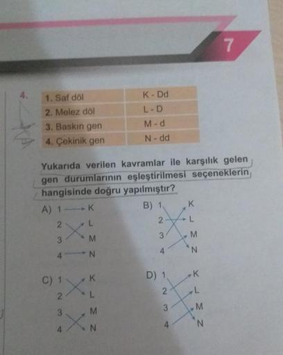 4.
1. Saf döl
2. Melez döl
3. Baskın gen
4. Çekinik gen
Yukarıda verilen kavramlar ile karşılık gelen
gen durumlarının eşleştirilmesi seçeneklerin
hangisinde doğru yapılmıştır?
B) 1,
2
X X IXI
A) 1 K
2
C) 1
3
4 N
2
YLMZ
3
4
XLMN
K - Dd
L-D
M-d
N - dd
K
3
X