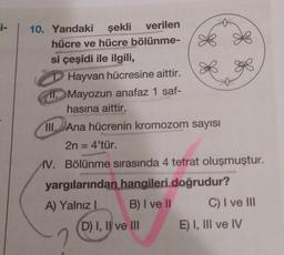 i- 10. Yandaki şekli verilen
hücre ve hücre bölünme-
si çeşidi ile ilgili,
DHayvan hücresine aittir.
1. Mayozun anafaz 1 saf-
hasına aittir.
III. Ana hücrenin kromozom sayısı
2n = 4'tür.
V. Bölünme sırasında 4 tetrat oluşmuştur.
yargılarından hangileri doğrudur?
A) Yalnız I
B) I ve II
2
D) I, II ve III
C) I ve III
E) I, III ve IV