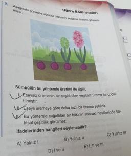 Aşağıdaki görselde sümbül bitkisinin soğanla üretimi gösteril-
miştir.
Hücre Bölünmeleri
Sümbülün bu yöntemle üretimi ile ilgili,
1. Éşeysiz üremenin bir çeşidi olan vejetatif üreme ile çoğal-
tılmıştır.
Eşeyli üremeye göre daha hızlı bir üreme şeklidir.
Bu yöntemle çoğaltılan bir bitkinin sonraki nesillerinde ka-
litsal çeşitlilik görülmez.
ifadelerinden hangileri söylenebilir?
A) Yalnız I
B) Yalnız II
D) I ve II
31
E) I, II ve III
0
)
C) Yalnız III
0