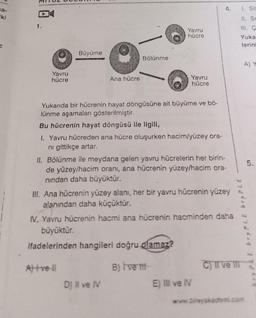 sa-
ki
1.
Yavru
hücre
Büyüme
Ana hücre
Bölünme
Atvell
Yavru
hücre
Yukarıda bir hücrenin hayat döngüsüne ait büyüme ve bö-
lünme aşamaları gösterilmiştir.
Bu hücrenin hayat döngüsü ile ilgili,
1. Yavru hücreden ana hücre oluşurken hacim/yüzey ora-
ni gittikçe artar.
D) Il ve IV
Yavru
hücre
II. Bölünme ile meydana gelen yavru hücrelerin her birin-
de yüzey/hacim oranı, ana hücrenin yüzey/hacim ora-
nından daha büyüktür.
III. Ana hücrenin yüzey alanı, her bir yavru hücrenin yüzey
alanından daha küçüktür.
4.
IV. Yavru hücrenin hacmi ana hücrenin hacminden daha
büyüktür.
ifadelerinden hangileri doğru olamaz?
B) I've til
E) Il ve IV
1. Sit
11. Se
III. C
Yuka
ferinä
PLE bryPIE bryPLE
C) II ve III
A) Y
www.bileyakadni.com
5.