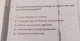 HUCH
7. Hücrelerde kanserleşmeyi önleyen en önemli olay aşa-
ğıdakilerden hangisidir?
A) Hücre döngüsünün kontrolü
B) Proteinlerin gen kontrolünde sentezlenmesi
C) DNA'nın yarı konumlu eşlenmesi
D) Kromozomların iğ ipliği ile taşınması
E) Sitoplazmanın bölünmesi
FIL bryPLE