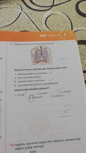 lu-
ra
3.-
test »»»>>>>
9. Aşağıda solunum sistemi şematize edilmiştir.
III. diyafram kasının kasılması,
IV. geri yaylanma basıncının gerçekleşmesi
olaylarından hangileri gözlenir?
A) I ve II
B) II ve IV
(1)
Diyafram kasının şekildeki gibi hareket ettiği s