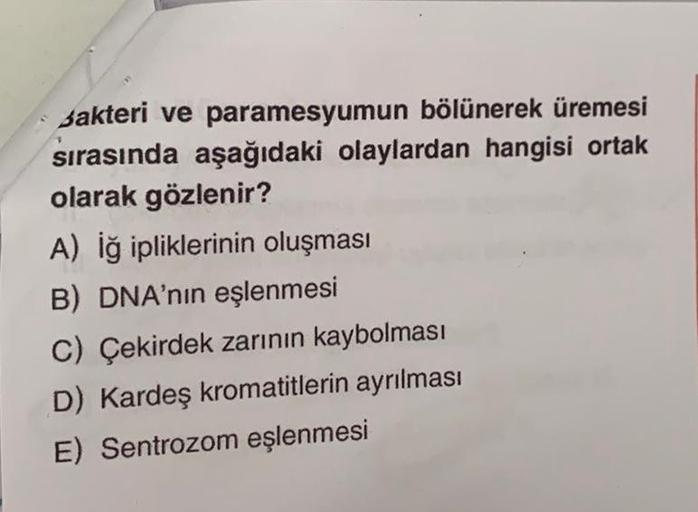 Bakteri ve paramesyumun bölünerek üremesi
sırasında aşağıdaki olaylardan hangisi ortak
olarak gözlenir?
A) İğ ipliklerinin oluşması
B) DNA'nın eşlenmesi
C) Çekirdek zarının kaybolması
D) Kardeş kromatitlerin ayrılması
E) Sentrozom eşlenmesi