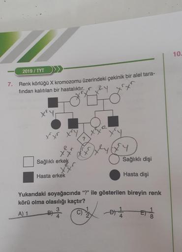 7.
2019/ TYT
Renk Körlüğü X kromozomu üzerindeki çekinik bir alel tara-
fından kalıtılan bir hastalıktır.
tr
xry
er
XX
Sağlıklı erkek
B
X
Hasta erkek
?
Sağlıklı dişi
Hasta dişi
Yukarıdaki soyağacında "?" ile gösterilen bireyin renk
körü olma olasılığı kaçt