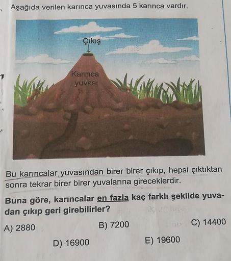 Aşağıda verilen karınca yuvasında 5 karınca vardır.
Çıkış
Karınca
yuvası
Bu karıncalar yuvasından birer birer çıkıp, hepsi çıktıktan
sonra tekrar birer birer yuvalarına gireceklerdir.
Buna göre, karıncalar en fazla kaç farklı şekilde yuva-
dan çıkıp geri g