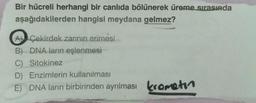 Bir hücreli herhangi bir canlıda bölünerek üreme sırasında
aşağıdakilerden hangisi meydana gelmez?
AÇekirdek zarının erimesi
B) DNA ların eşlenmesi
C)
Sitokinez
D) Enzimlerin kullanılması
E) DNA ların birbirinden ayrılması kromatin