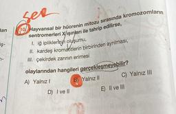 dan
ş-
1-
ser
10 Hayvansal bir hücrenin mitozu sırasında kromozomların
sentromerleri X/ışınları ile tahrip edilirse,
1. iğ ipliklerinin oluşumu,
II. kardeş kromatitlerin birbirinden ayrılması,
III. çekirdek zarının erimesi
olaylarından hangileri gerçekleşmeyebilir?
A) Yalnız I
B) Yalnız II
D) I ve II
C) Yalnız III
E) II ve III