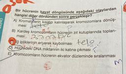 Bir hücrenin hayat döngüsünde aşağıdaki olaylardan
hangisi diğer dördünden sonra gerçekleşir?
A) Kromatitlerin kısalıp kalınlaşarak kromozomlara dönüş-
mesi fete
B) Kardeş kromozomların hücrenin zıt kutuplarında toplan-
masi 3 na faz
İğ ipliklerinin eriyerek kaybolması telo
Hücredeki DNA miktarının iki katına çıkması
E) Kromozomların hücrenin ekvator düzleminde sıralanması