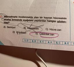 9. Mikroskopta incelenmekte olan bir hayvan hücresinin
anafaz evresinde aşağıdaki yapılardan hangisi gözlen-
mez?
A) Sentriyol
B) Kromozom
D) Iğ iplikler
1. D
E) Çekirdek zarı
2. B
C) Hücre zarı
3. C
4. A
5. C
6. E