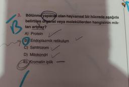 3. Bölünme yapacak olan hayvansal bir hücrede aşağıda
belirtilen organel veya moleküllerden hangisinin mik-
tarı artmaz?
A) Protein
B) Endoplazmik retikulum
C) Sentrozom
D) Mitokondri
E) Kromatin iplik
B