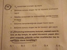 10.
●
Metafaz evresindeki bir kromozomun içerdiği kroma-
tit sayısı
Bölünme tamamlandığında oluşan hücre sayısı
Bölünme sonucu oluşan her bir hücrenin gen sayısı
23 çift homolog kromozomu bulunan, memeli canlı tü-
rüne ait dişi bireyin, bir epitel hücresinin yaşam dön-
güsü sırasında, yukarıda verilen niceliklerden kaç ta-
nesi kesin olarak hesaplanır?
●
G₂ evresindeki kromatin ağ sayısı
Bölünme sonucu oluşan her bir hücrenin kromozom
sayısı
A) 1
B) 2
C) 3
D) 4
E) 5