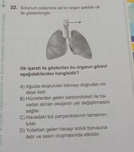 Degerlendirme ve Sınav Hizmetleri Genel Müdürlüğü
22. Solunum sistemine ait bir organ şekilde ok
ile gösterilmiştir.
Ok işareti ile gösterilen bu organın görevi
aşağıdakilerden hangisidir?
A) Ağızda oluşturulan lokmayı doğrudan mi-
deye iletir.
B) Hücreler