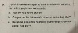 2.
Diploit kromozom sayısı 20 olan bir hücrenin art arda
dört mitoz geçirmesi sonucunda;
a. Toplam kaç hücre oluşur?
b. Oluşan her bir hücrenin kromozom sayısı kaç olur?
c. Bölünme sırasında hücrenin oluşturduğu kromatit
sayısı kaç olur?