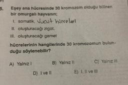 5.
Eşey ana hücresinde 30 kromozom olduğu bilinen
bir omurgalı hayvanın;
1. somatik, Vucut hücreleri
II. oluşturacağı zigot.
III. oluşturacağı gamet
hücrelerinin hangilerinde 30 kromozomun bulun-
duğu söylenebilir?
A) Yalnız 1
D) Ive ll
B) Yalnız 11
C) Yalnız III
E) I, II ve III