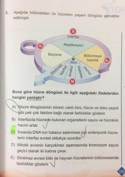 TOP
8. Aşağıda bölünebilen bir hücrenin yaşam döngüsü şematize
edilmiştir.
G₁
Büyüme
Interfaz
Replikasyon
Sitokinez
Telofaz
M
Mitoz
Anafaz
Metafaz
Bölünmeye
hazırlık G₂₁
Profaz
Buna göre hücre döngüsü ile ilgili aşağıdaki ifadelerden
hangisi yanlıştır?
A) Hücre döngüsünün süresi; canlı türü, hücre ve doku çeşidi
gibi pek çok faktöre bağlı olarak farklılıklar gösterir.
B) Interfazda hücrede bulunan organellerin sayısı ve hücrénin
hacmi artar.
C) İnsanda DNA'nın hatasız eşlenmesi için embriyonik hücre-
lerin interfaz evresi oldukça uzundur.
D) Mitotik evrenin karyokinez aşamasında kromozom sayısı
geçici olarak iki katına çıkar.
E) Sitokinez evresi bitki ve hayvan hücrelerinin bölünmesinde
farklılıklar gösterir.
165