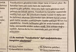 ünlük
lumsuz
ekete
e,
esi)
mışlar,
al-
Yusufçukların gövdelerinden ikişer tane iri kanat çıkar. Bu
kanatlar hem çok süslü hem de naylondan
yapılmış gibi şeffaftır. Ama onu öyle narin görünce zayıf,
çelimsiz bir böcek sanma. Yusufçuk bu kanatlar sayesinde
müthiş hızlı uçar. Bir yusufçuk o kadar hızlıdır ki daha sen
bu kelimeyi okumayı bitirmeden tam 38 kere kanat çırpıp
yedi metre senden uzaklaşmıştır. Saatte yaklaşık 40 km hız
yapabilirler. Üstelik helikopter gibi bir anda havada asılı
kalıp, sonrasında aniden yukarı-aşağı, öne-arkaya doğru po
uçabilir. Ayrıca da bu hızı sayesinde pek çok böceği
avlayabilir
12.Bu metinde "Yusufçuklarla" ilgili aşağıdakilerden
hangisine ulaşılamaz?
UXO sli
A) Uçuş hızları
C) Kanatlarının özellikleri
INI (A
novlim 21 abritesü
B) Aylanma şekilleri id obs
D) Uçuş manevraları imizs
Somein D