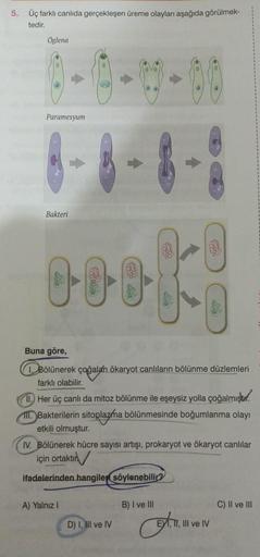 5. Üç farklı canlıda gerçekleşen üreme olayları aşağıda görülmek-
tedir.
Öglena
Paramesyum
Bakteri
cook!
Buna göre,
1. Bölünerek çoğalan ökaryot canlıların bölünme düzlemleri
farklı olabilir.
11. Her üç canlı da mitoz bölünme ile eşeysiz yolla çoğalmıştır.