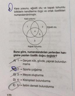 Į
170
Kara yosunu, eğrelti otu ve kapalı tohumlu
bitkilerin kendilerine özgü ve ortak özellikleri
numaralandırılmıştır.
Kara yosunu
3
5
2
Eğrelti otu
Kapalı tohumlu
Buna göre, numaralandırılan yerlerden han-
gisine yazılan özellik doğru değildir?
A) 1→Gerçek kök, gövde, yaprak bulundur-
mama
2→ Sporla çoğalma
3 → Meyve oluşturma
D) 4→ Kloroplast bulundurma
E) 5 iletim demeti bulundurma