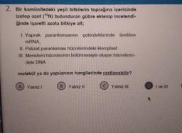 2. Bir komünitedeki yeşil bitkilerin toprağına içerisinde
izotop azot (¹5N) bulunduran gübre eklenip incelendi-
ğinde işaretli azota bitkiye ait;
1. Yaprak parankimasının çekirdeklerinde üretilen
mRNA,
II. Palizat parankiması hücrelerindeki kloroplast
III. Meristem hücrelerinin bölünmesiyle oluşan hücrelerin-
deki DNA
molekül ya da yapılarının hangilerinde rastlanabilir?
Yalınz I
B Yalnız II
Yalnız III
DI ve III