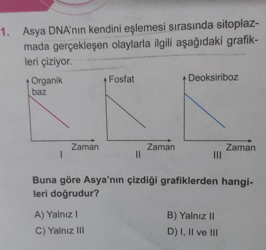 1. Asya DNA'nın kendini eşlemesi sırasında sitoplaz-
mada gerçekleşen olaylarla ilgili aşağıdaki grafik-
leri çiziyor.
+ Organik
baz
I
Zaman
Fosfat
A) Yalnız I
C) Yalnız III
||
Zaman
Deoksiriboz
|||
Buna göre Asya'nın çizdiği grafiklerden hangi-
leri doğru