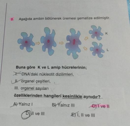 6.
Aşağıda amibin bölünerek üremesi şematize edilmiştir.
Buna göre K ve L amip hücrelerinin;
DNA'daki nükleotit dizilimleri,
organel çeşitleri,
III. organel sayıları
özelliklerinden hangileri kesinlikle aynıdır?
A) Yalnız I
B) Yalnız III
DII ve III
e) ve I