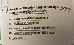 (10) Aşağıda verilenlerden hangisi karaciğer hücresindeki
mitotik evrede gerçekleşmez?
A) Kardeş kromatitlerin ayrılması
B) İğ ipliklerinin görülmesi
C) Homolog kromozomların görülmesi
D) Homolog kromozomların ayrılması
E) Sitokinez