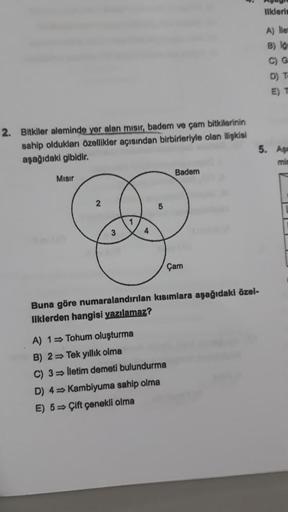 2. Bitkiler aleminde yer alan mısır, badem ve çam bitkilerinin
sahip oldukları özellikler açısından birbirleriyle olan ilişkisi
aşağıdaki gibidir.
Misir
2
3
1
4
Badem
A) 1
Tohum oluşturma
B) 2
Tek yıllık olma
C) 3
lletim demeti bulundurma
D) 4➡ Kambiyuma s