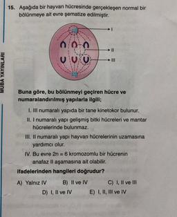 MUBA YAYINLARI
15. Aşağıda bir hayvan hücresinde gerçekleşen normal bir
bölünmeye ait evre şematize edilmiştir.
VUKO
Buna göre, bu bölünmeyi geçiren hücre ve
numaralandırılmış yapılarla ilgili;
I. III numaralı yapıda bir tane kinetokor bulunur.
II. I numaralı yapı gelişmiş bitki hücreleri ve mantar
hücrelerinde bulunmaz.
I
III. II numaralı yapı hayvan hücrelerinin uzamasına
yardımcı olur.
A) Yalnız IV
IV. Bu evre 2n = 6 kromozomlu bir hücrenin
anafaz II aşamasına ait olabilir.
ifadelerinden hangileri doğrudur?
B) II ve IV
D) I, II ve IV
C) I, II ve III
E) I, II, III ve IV