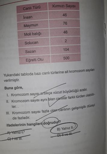 Canlı Türü
Insan
Maymun
Moli balığı
Solucan
Sazan
Eğrelti Otu
Kırmızı Sayısı
46
76
6
46
2
104
500
Yukarıdaki tabloda bazı canlı türlerine ait kromozom sayıları
verilmiştir.
Buna göre,
1. Kromozom sayısı arttıkça vücut büyüklüğü azalır.
II. Kromozom sayısı 