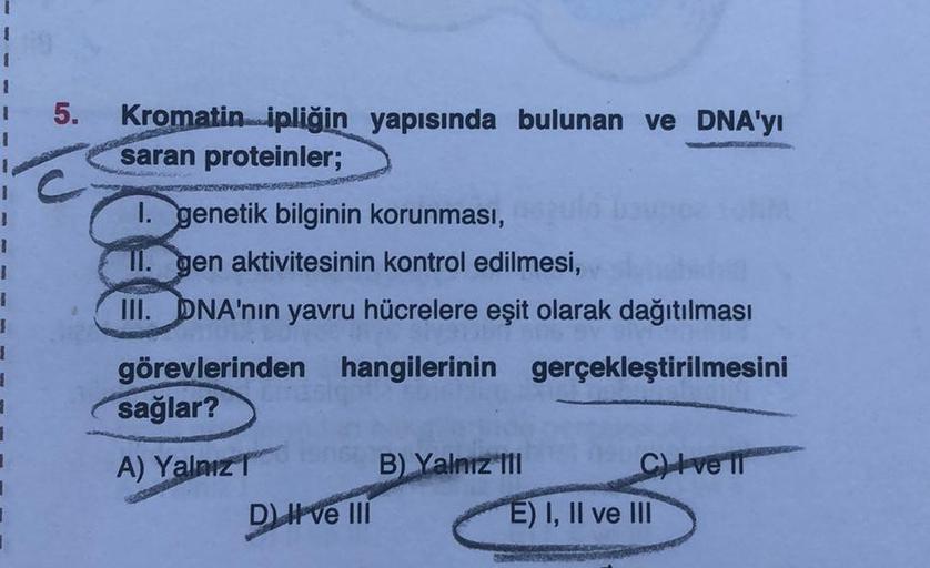 1
1
1
1
1
1
1
1
1
5. Kromatin ipliğin yapısında bulunan ve DNA'yı
saran proteinler;
1. genetik bilginin korunması,
II. gen aktivitesinin kontrol edilmesi,
III. DNA'nın yavru hücrelere eşit olarak dağıtılması
görevlerinden hangilerinin gerçekleştirilmesini
