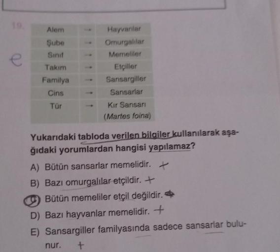 Alem
Şube
Sınıf
Takım
Familya
Cins
Tür
Hayvanlar
Omurgalılar
Memeliler
Etçiller
Sansargiller
Sansarlar
Kır Sansari
(Martes foina)
Yukarıdaki tabloda verilen bilgiler kullanılarak aşa-
ğıdaki yorumlardan hangisi yapılamaz?
A) Bütün sansarlar memelidir.
B) B