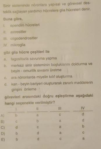 Sinir sisteminde nöronlara yapısal ve görevsel des-
teklik sağlayan yardımcı hücrelere glia hücreleri denir.
Buna göre,
1. ependim hücreleri
II. astrositler
III.
IV. mikroglia
oligodendrositler
gibi glia hücre çeşitleri ile
a. fagositozla savunma yapma
b.