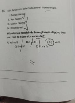 29. Dört farklı canlı türünün hücreleri incelenmiştir.
1. Bakteri
hücreşi
hücreși
II. Kas hücresi
III. Mantar hücresi
IV. Bitki hücresi
Hücrelerden hangisinde hem glikojen deposų bulu-
nur, hem de hücre duvarı vardır?
A) Yalnız II
D) Il ve IV
B) I ve III
E) III ve IV
11
C) I ve III