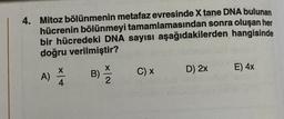 4. Mitoz bölünmenin metafaz evresinde X tane DNA bulunan
hücrenin bölünmeyi tamamlamasından sonra oluşan her
bir hücredeki DNA sayısı aşağıdakilerden hangisinde
doğru verilmiştir?
B) = 2
A)
4
C) X
D) 2x
E) 4x