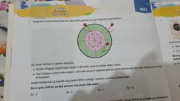 1. UNITE
Tam Sayılar
7. Aşağıdaki hedef tahtasındaki her daire dilimi pembe ve yeşil bölgeden oluşmaktadır.
T
5
9
-4 3
-8 7
-2
-6
Bu hedef tahtasına yapılan atışlarda,
• Pembe bölgeye isabet eden atışlar o dilimdeki sayının mutlak değeri kadar,
• Yeşil bölgeye isabet eden atışlar o dilimdeki sayının toplama işlemine göre tersine eşit olan sayı kadar puan kazan-
dırmaktadır.
Hedef
tahtasında üç isabetli atış yapan Arifin vurduğu noktalar yukarıda gösterilmiştir.
Buna göre Arif bu üç atış sonucu kaç puan elde eder?
A) -3
B)-2
C) -1
TEST 2
D) +2
farklı zaman diliminde içindeki su miktarlarının
Ta
-12
Mehmet ve
Mehm
En
Buna g
toplam
A) 57
.