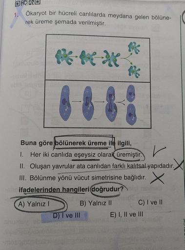 ORAD
1. Ökaryot bir hücreli canlılarda meydana gelen bölüne-
rek üreme şemada verilmiştir.
*
M6-M-XX-
Buna göre bölünerek üreme ile ilgili,
I. Her iki canlıda eşeysiz olarak üremiştir.
II. Oluşan yavrular ata canlıdan farklı kalıtsal yapıdadır.
III. Bölünm