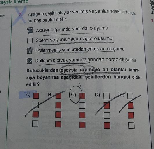 şeysiz Ureme
mi-
7. Aşağıda çeşitli olaylar verilmiş ve yanlarındaki kutucuk-
lar boş bırakılmıştır.
Akasya ağacında yeni dal oluşumu
Sperm ve yumurtadan zigot oluşumu
DYNAHERWISERES
B)
AN
Döllenmemiş yumurtadan erkek arı oluşumu
Döllenmiş tavuk yumurtalar